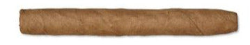 Dutch Cigars Senoritas - Single Cigar mycigarorder.com mycigarorder.co.uk